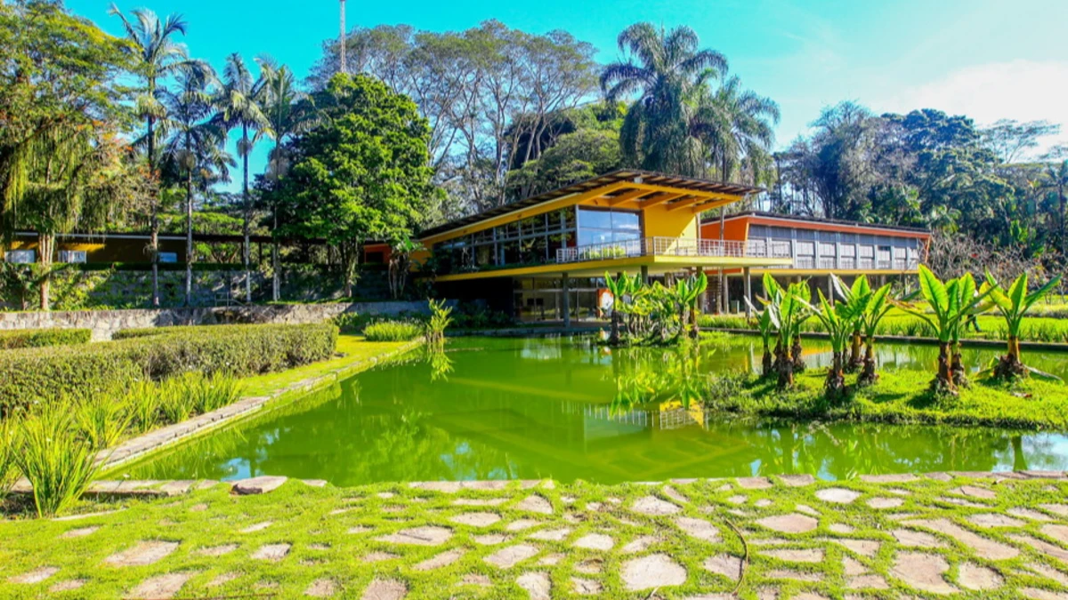 Parque da Cidade terá cinema gratuito ao ar livre nesta sexta (28)