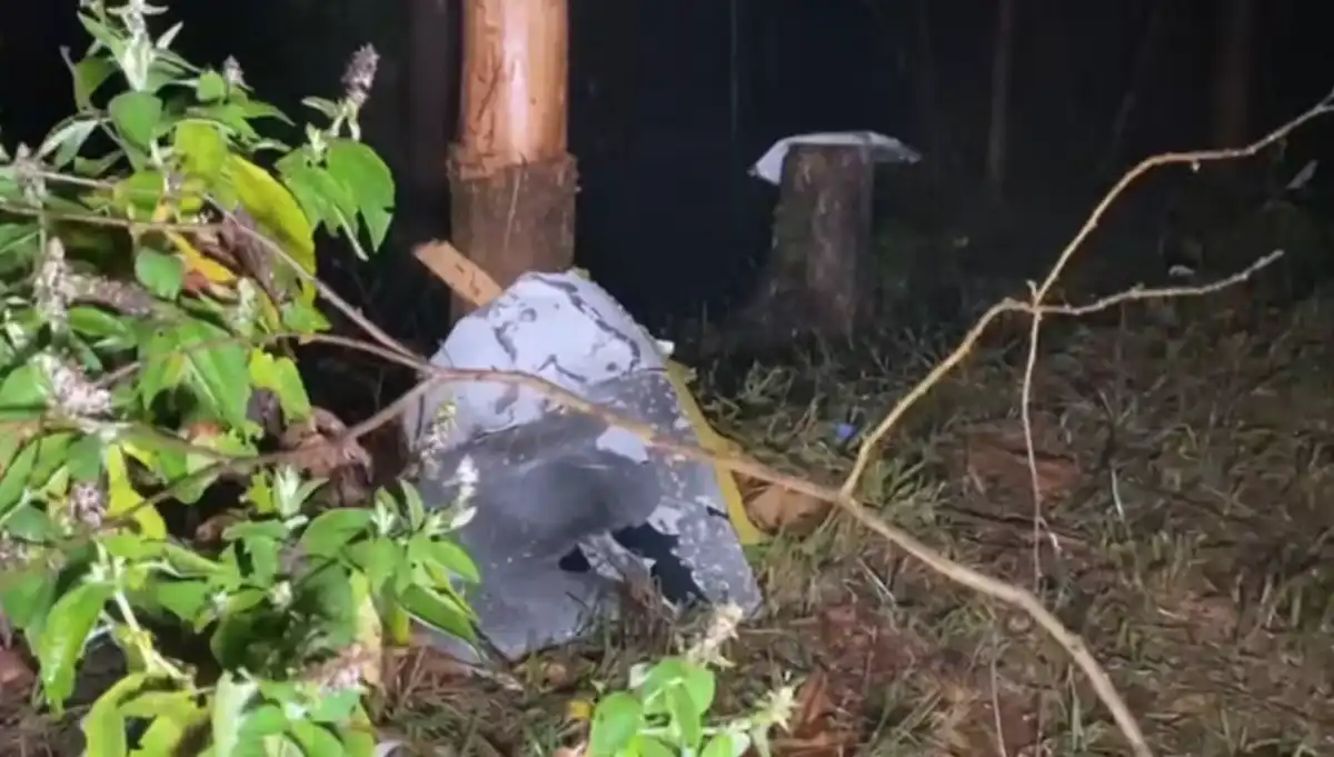 Confira tudo o que se sabe sobre a queda do avião em Paraibuna