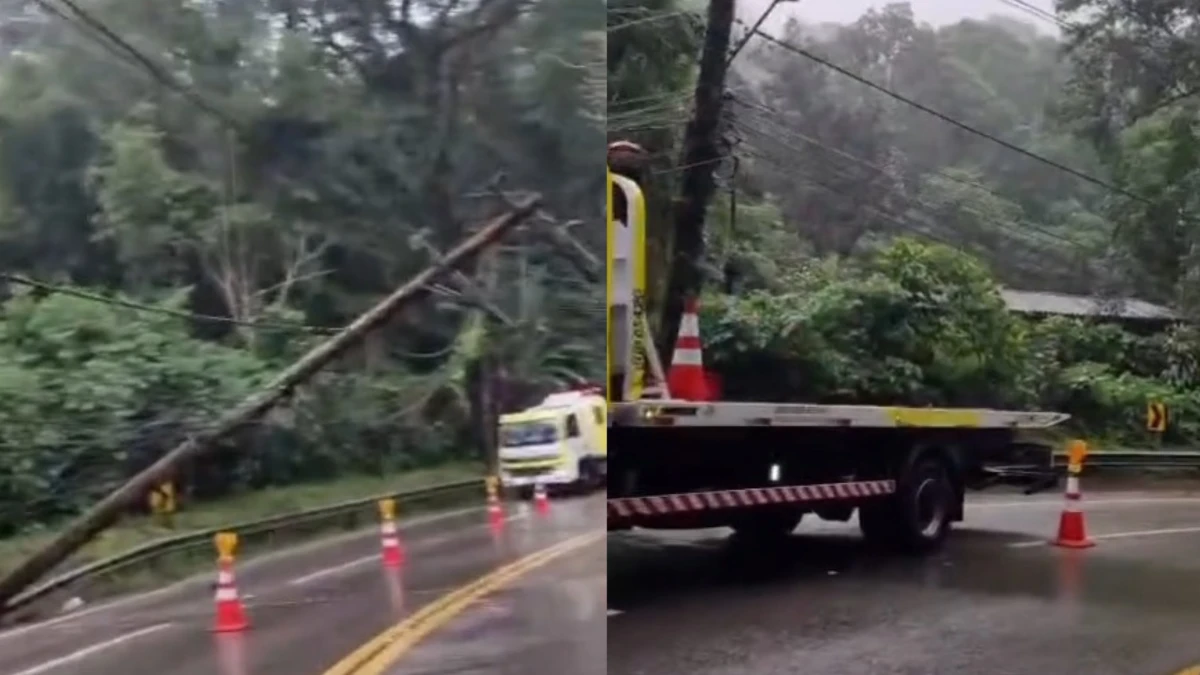 Queda de postes interdita trecho da Rio-Santos em São Sebastião