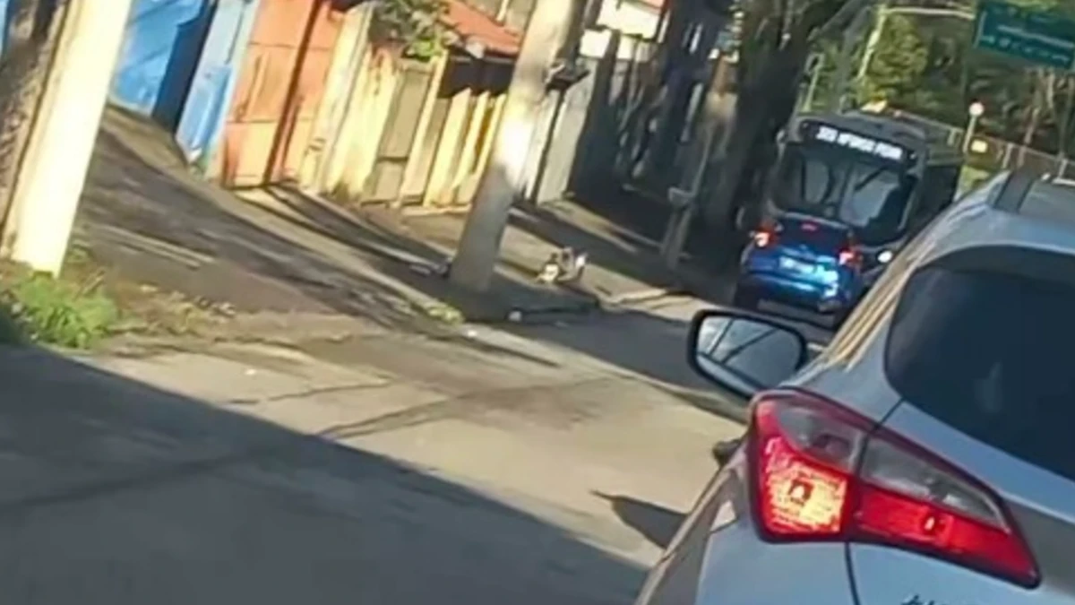 Moradora denuncia engarrafamento diário em rua do Palmeiras de São José
