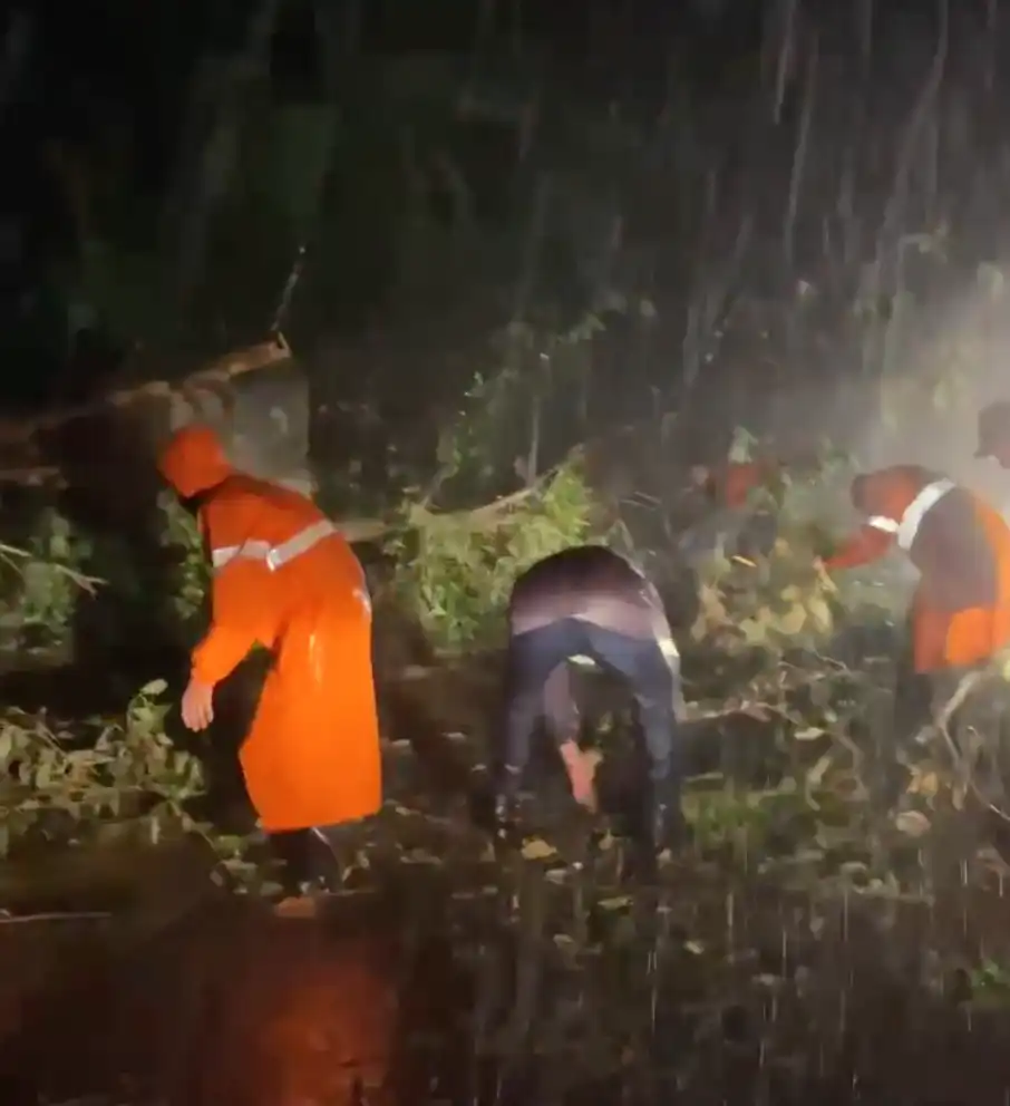 Ubatuba lidera ranking de chuva no estado e temporal causa destruição no Litoral Norte