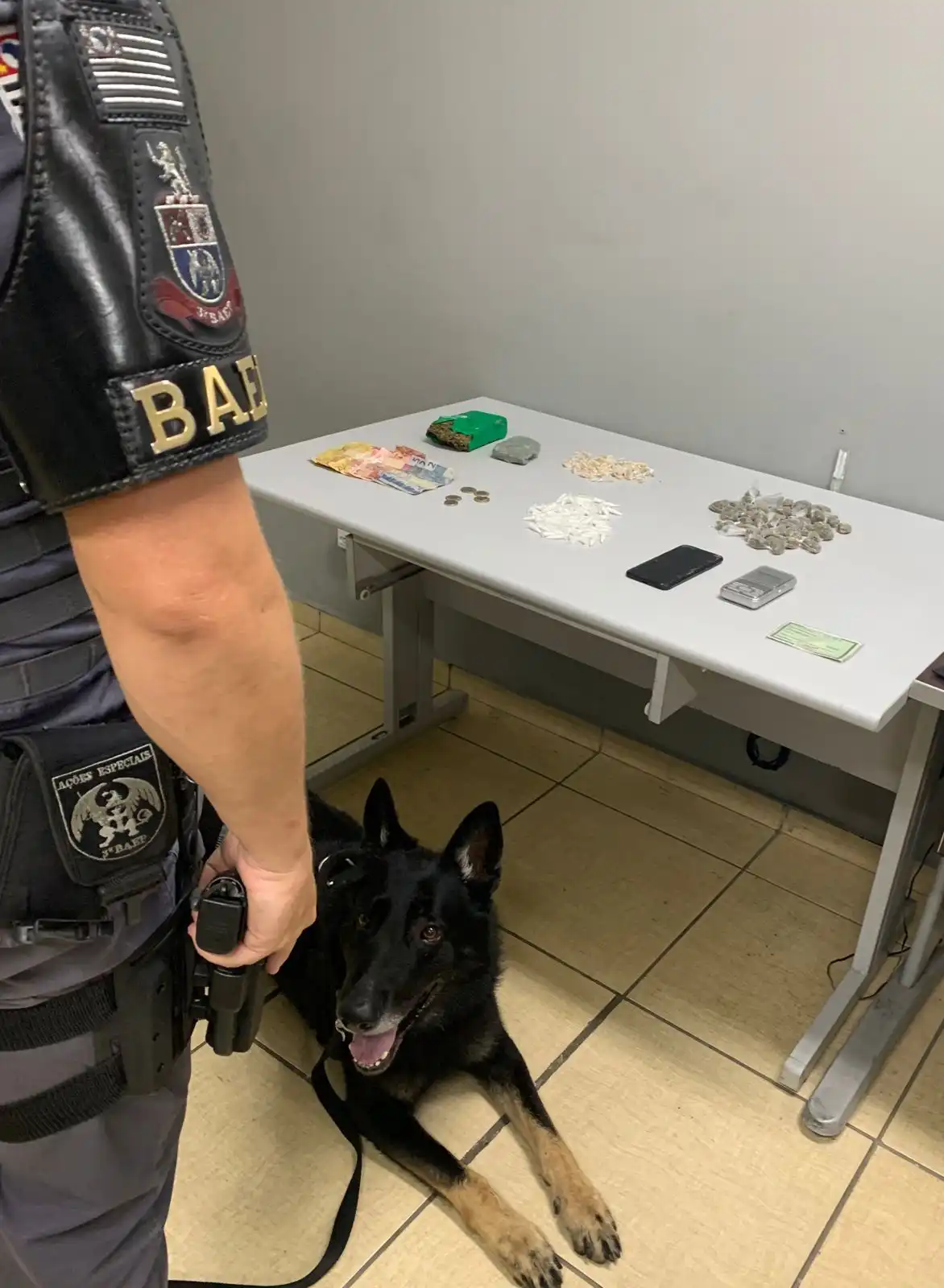Com ajuda de cães, polícia prende jovem em Taubaté