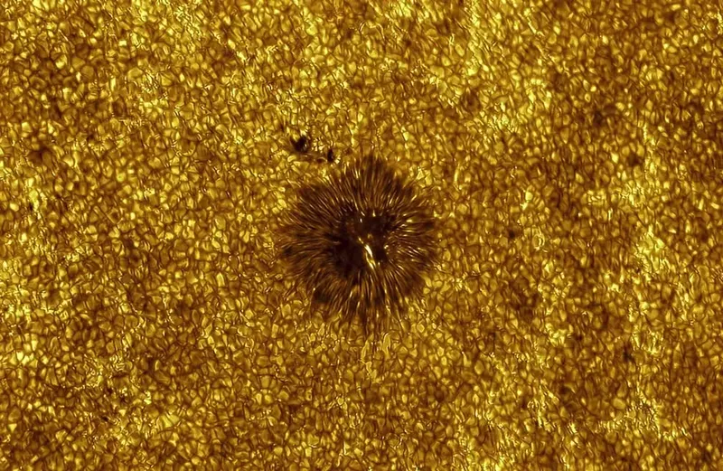active-region-4122-c-miguel-claro-zwo-astronomy-photographer-of-the-year-2026-our-sun.jpg.avif