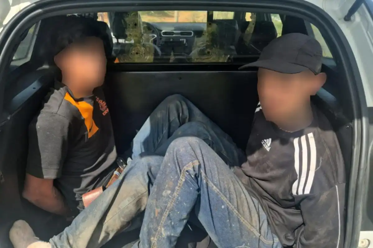 Dupla é presa por furto de 56 cabeças de gado avaliadas em R$ 250 mil em São José dos Campos