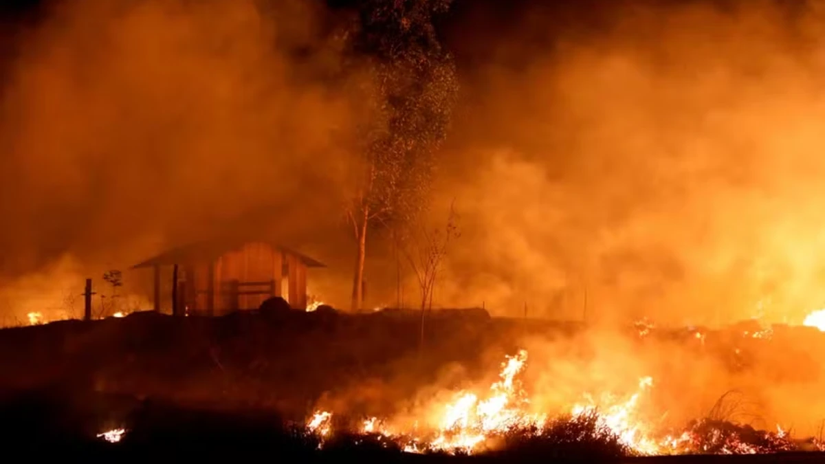 Governo investiga possível ação criminosa por trás de incêndios no Amazonas