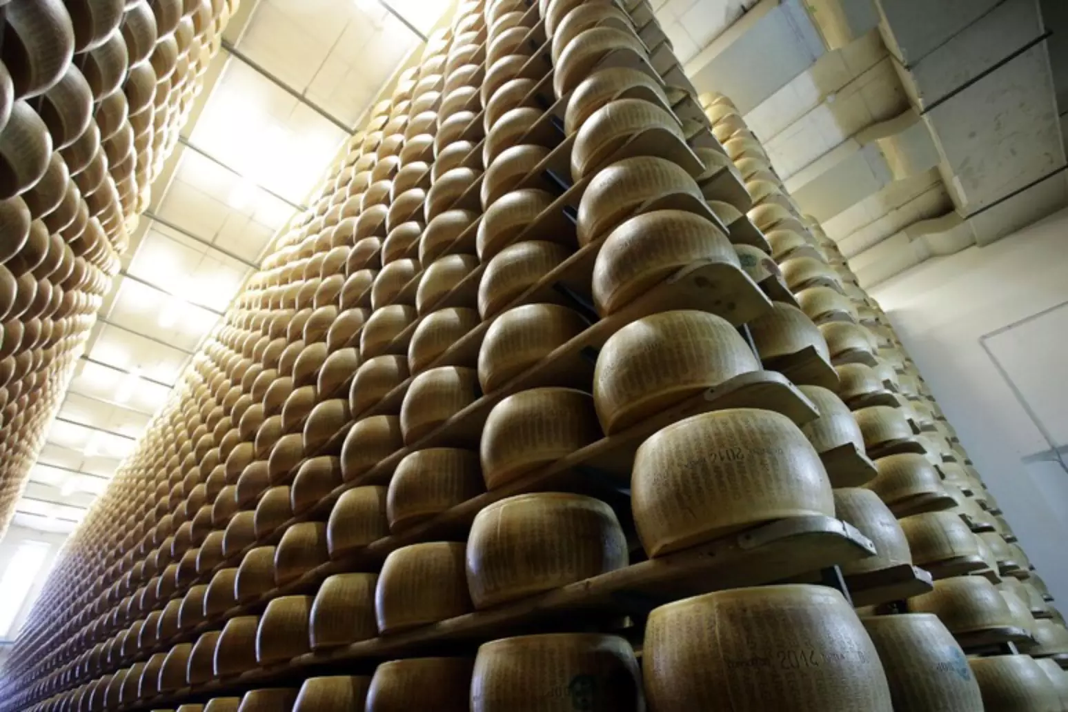 Queijo brasileiro é eleito o melhor do mundo em concurso internacional