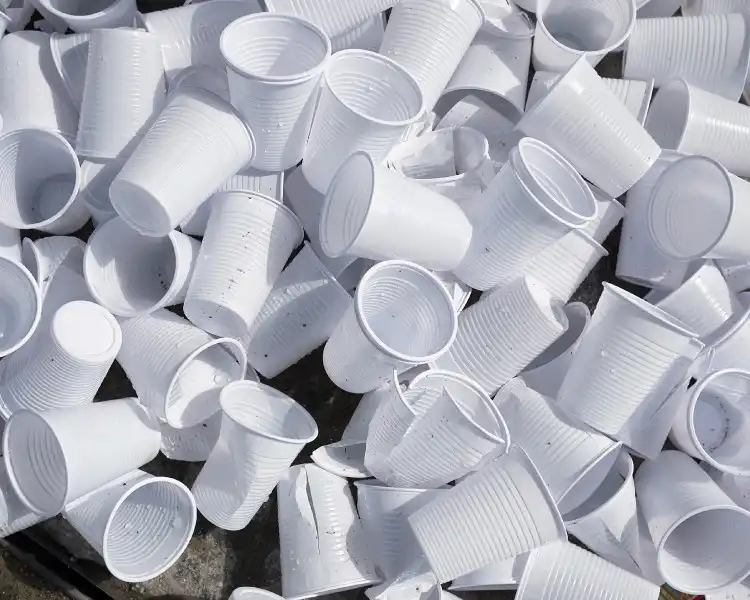 Venda de copo descartável pode dar multa de mais R$ 5 mil e fechar estabelecimento em Jacareí