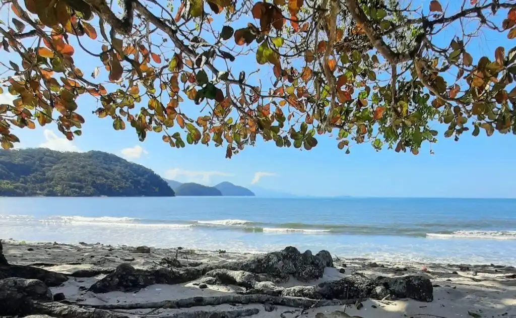 Veja quais praias do Litoral Norte estão impróprias para banho no feriado