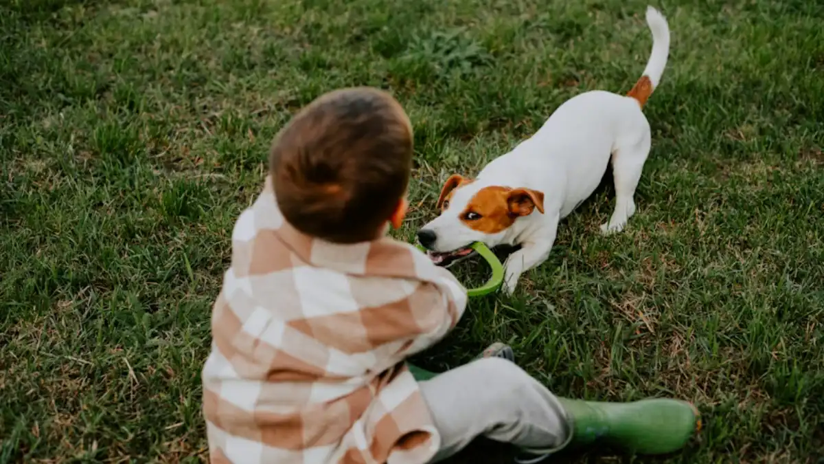 Pesquisas mostram benefícios dos pets no desenvolvimento das crianças