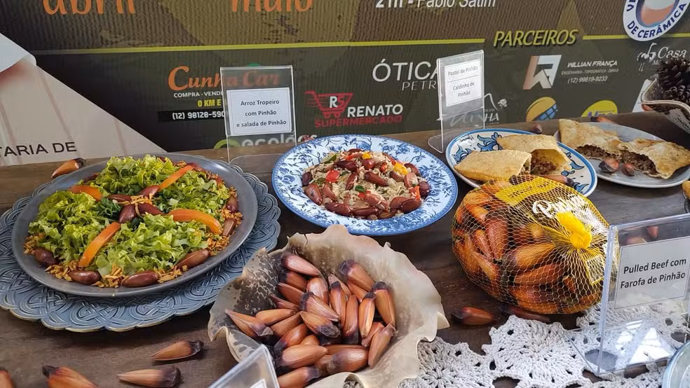 Festival do Pinhão movimenta Cunha com gastronomia, cultura e música até maio