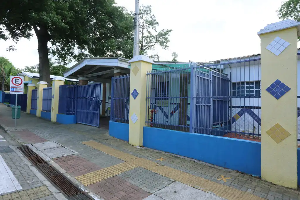 Aulas voltam ao normal após árvore dentro da escola cair em avenida de São José  