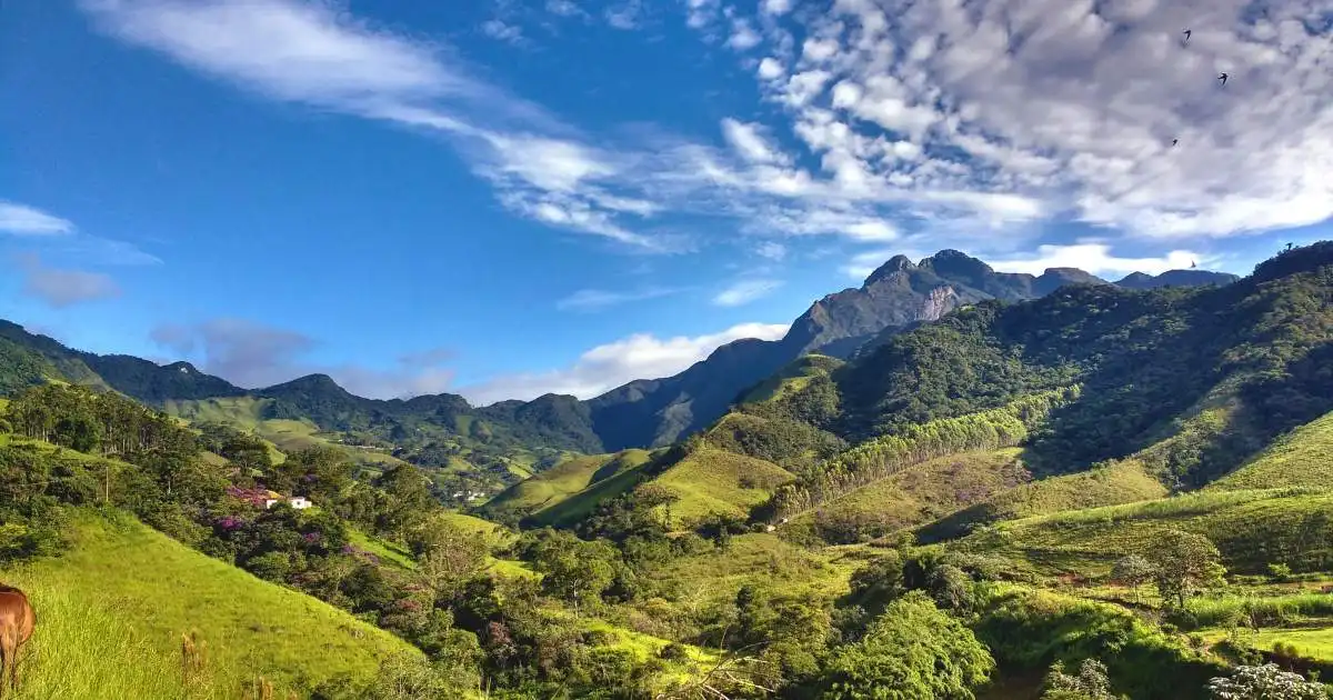 Dia Mundial do Meio Ambiente: conheça os 5 rios que cortam o Vale do Paraíba e fazem parte da história da região
