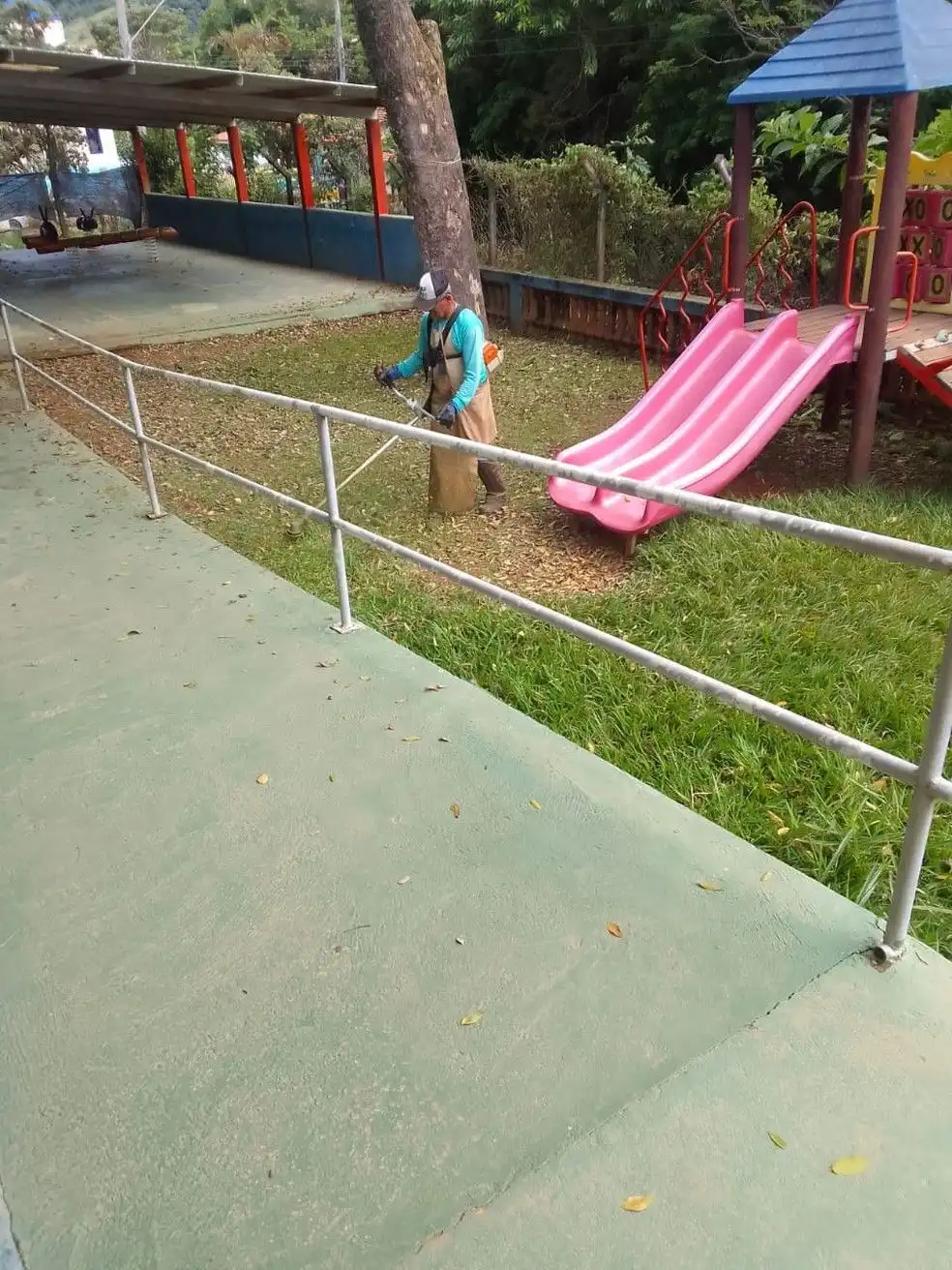 Escola Municipal em Paraibuna tem aulas suspensas por infestação de pulgas