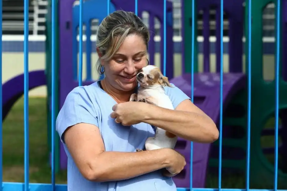 Jacareí realiza microchipagem gratuita em pets no Parque dos Sinos, neste sábado (21)