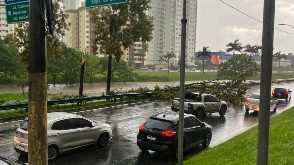 Temporal provoca queda de árvore na Av. Jorge Zarur, em SJC