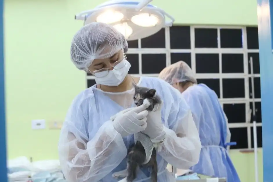 Meu Pet Feliz abre mil vagas para castração e microchipagem