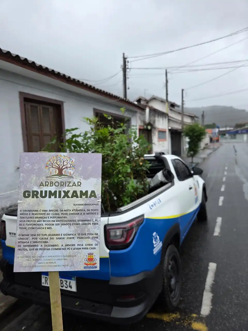 Caraguatatuba reforça arborização urbana com plantio de árvores nativas