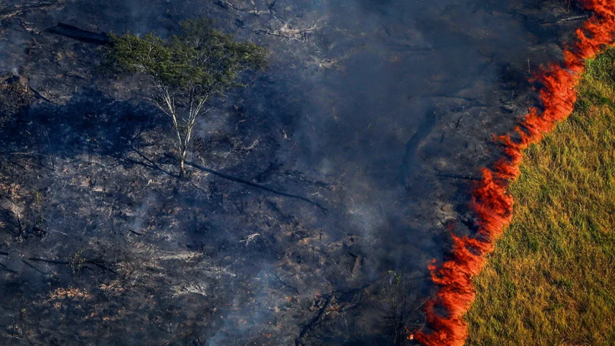 Desmatamento cai no Cerrado, mas volta a subir na Amazônia em agosto, diz INPE