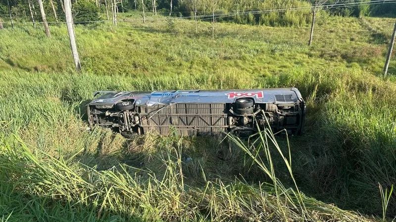 Ônibus cai em ribanceira na Dutra e deixa um morto e 25 feridos em Pindamonhangaba  