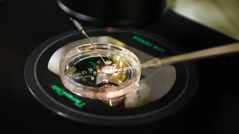 Cientistas criam embrião humano com DNA retirado de células da pele