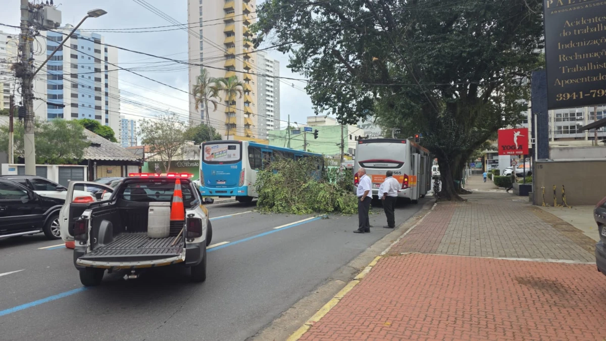 Galho cai em ônibus e interdita parcialmente Av. José Longo em São José