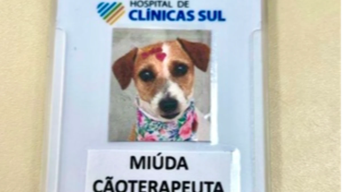 Cãoterapia leva carinho e conforto a pacientes do Hospital de Clínicas Sul em SJC