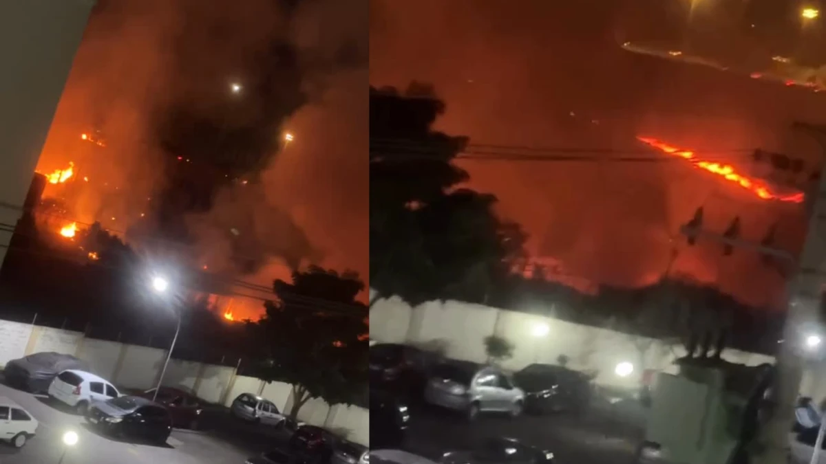 Incêndio atinge área próxima a duto da Petrobras no Interlagos