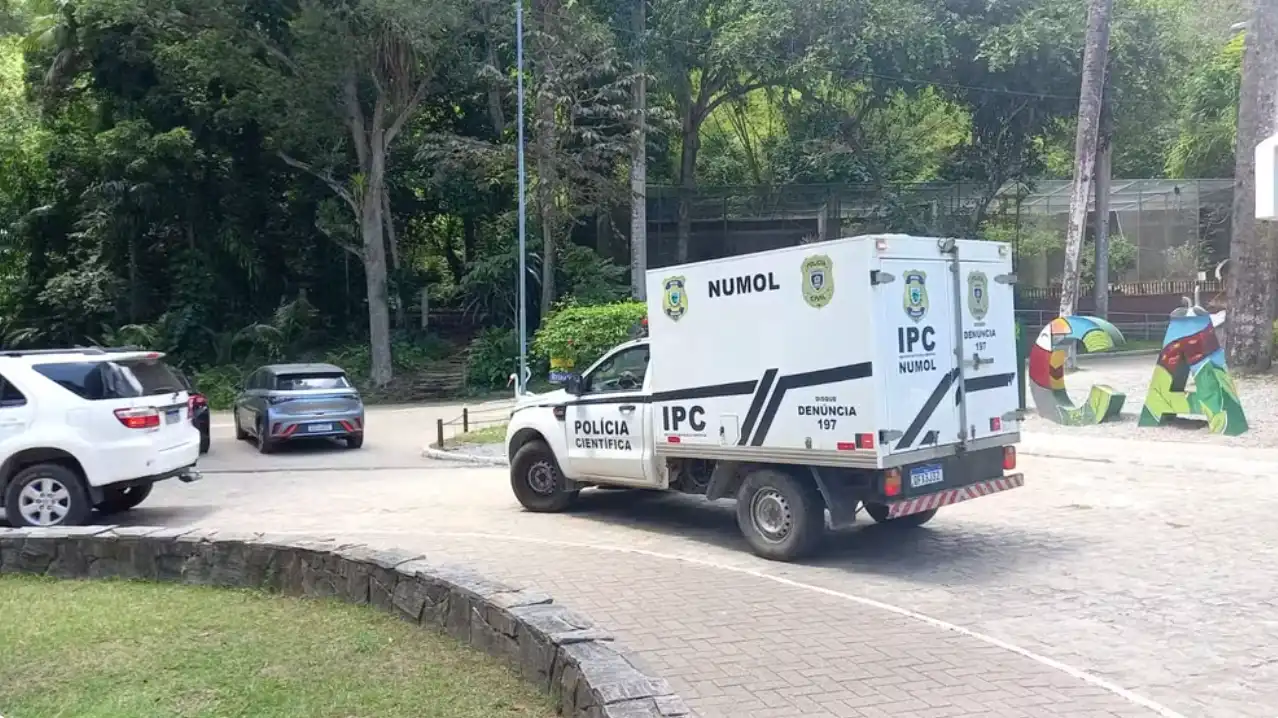 Homem entra em jaula, é atacado por leoa e morre