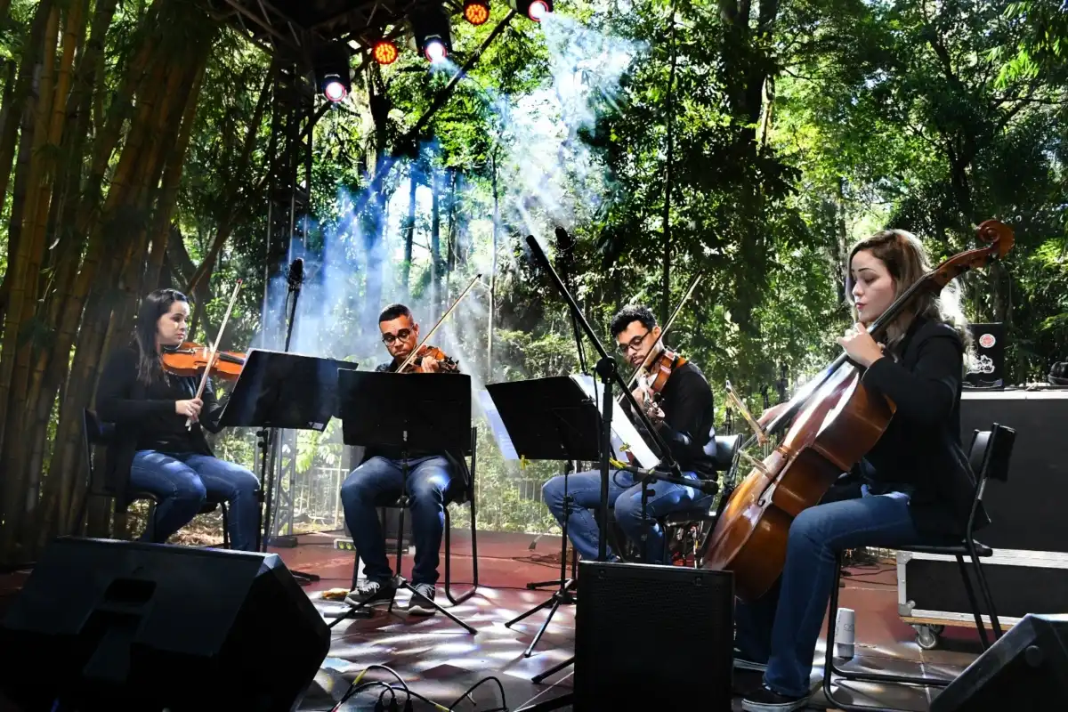 6º edição do Festival Mais Gastronomia acontece em São José