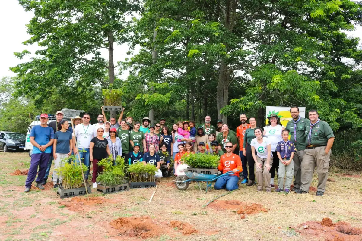 Ecomuseu dos Campos de São José realiza plantio de mais de 10 mil árvores nativas em São José dos Campos