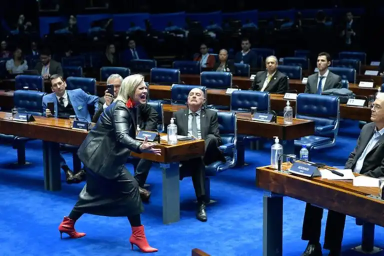 Durante debate sobre PL do aborto, contadora de história faz performance