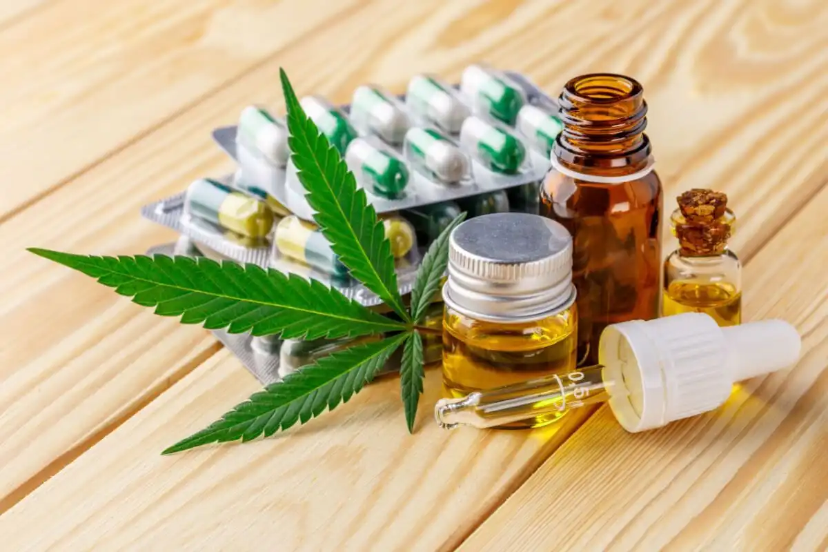 Governo de SP regulamenta acesso a remédios à base de cannabis no SUS