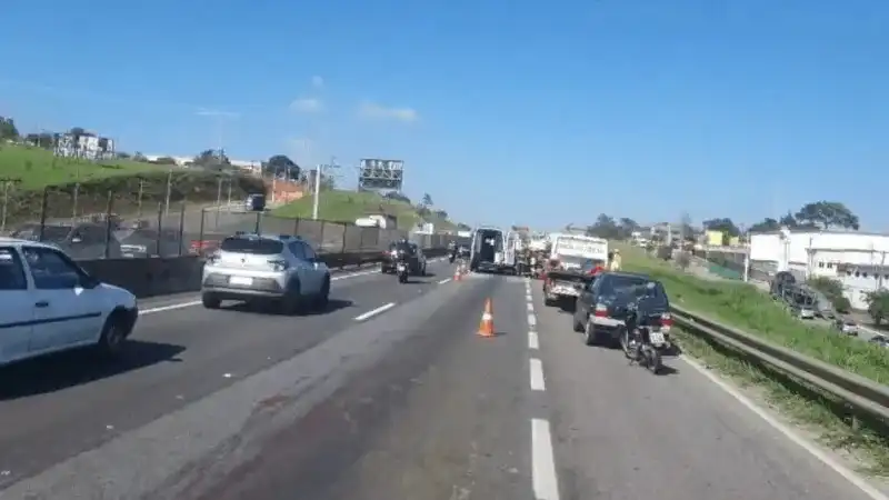 Acidente após atropelamento de capivara causa 7 km de congestionamento na Dutra em Taubaté