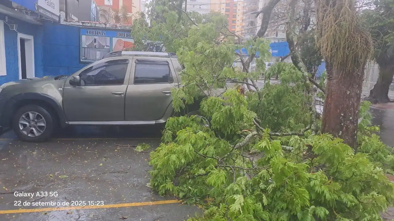 Árvore cai em carro estacionado em lavanderia da Vila Adyana
