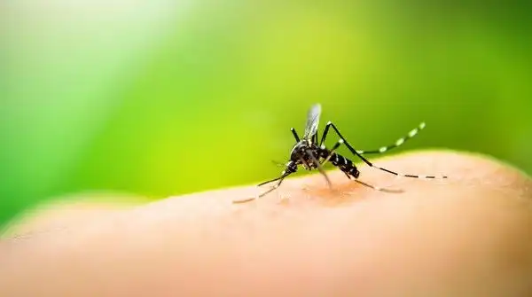 Jacareí confirma primeira morte por dengue em 2024