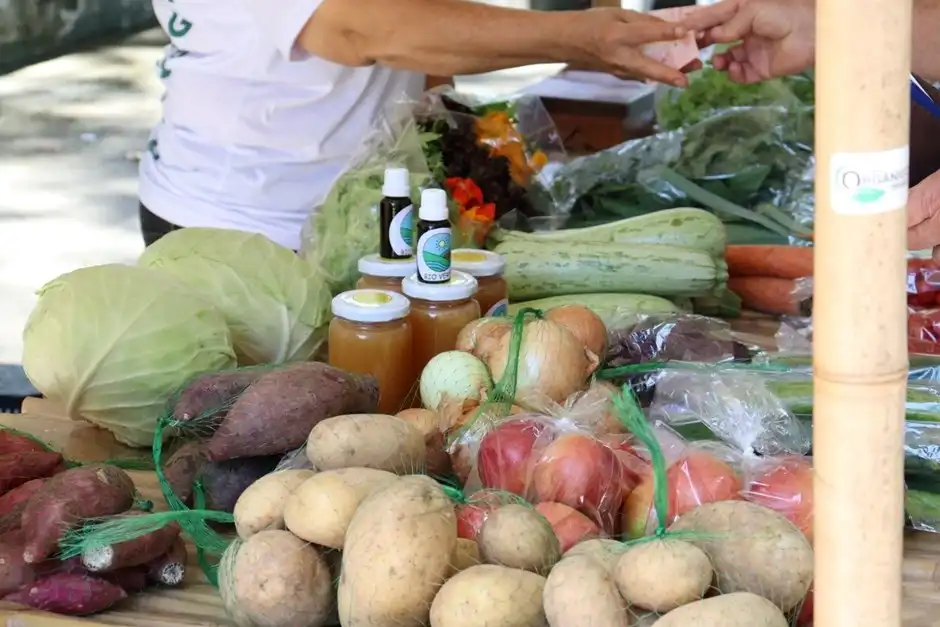 <strong>Vicentina Aranha abre credenciamento para novos agricultores familiares em Feirinha Verde</strong>
