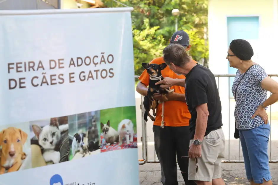 CCZ São José dos Campos tem última feira de adoção de pets do ano neste sábado (6) 