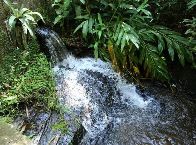 Parque Natural Municipal Augusto Ruschi será reinaugurado nesta sexta (24) em São José