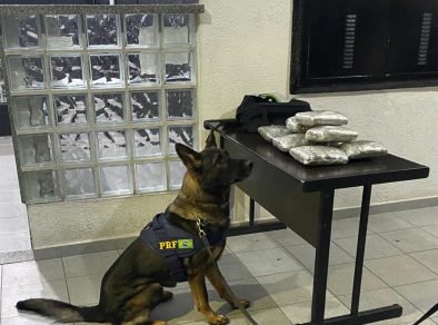 PRF apreende 4,5 kg de maconha com ajuda de cães farejadores