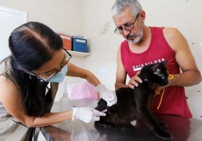 Vacinação antirrábica gratuita para cães e gatos neste final de semana em Jacareí