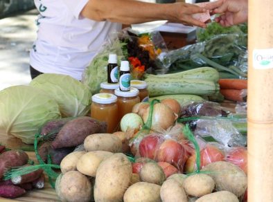 <strong></noscript>Vicentina Aranha abre credenciamento para novos agricultores familiares em Feirinha Verde</strong>