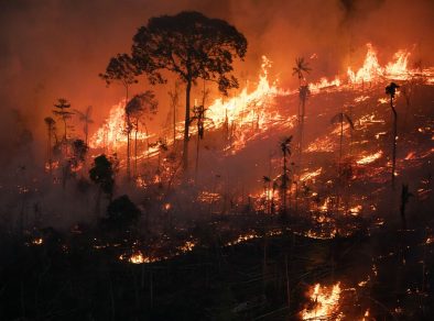 Brasil queimou mais de 21% do seu território em menos de 40 anos