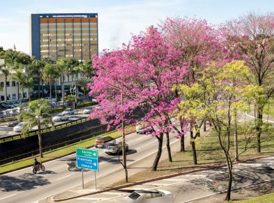 Plantão de atendimento da Prefeitura no feriado de Tiradentes