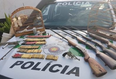 Polícia Ambiental apreende armas e ave silvestre em Silveiras