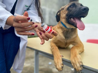 Prefeitura de Jacareí anuncia vacinação antirrábica neste sábado (27)