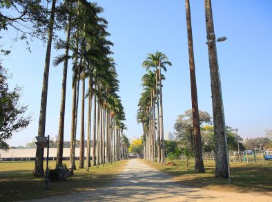 Tradicional festa junina no Parque da Cidade retorna após 4 anos