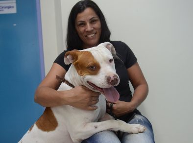 Inscrições para castração gratuita de pets começa nesta terça (23) em São José