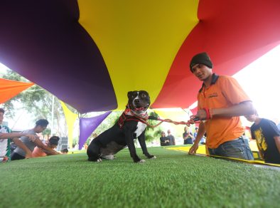 Caminhada com cães acontece em São José