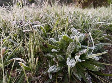 Campos do Jordão registra -5ºC e tem primeira geada do ano