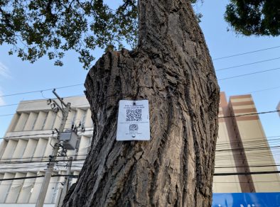 São José chega a marca de 50% das árvores cadastradas com QR Code